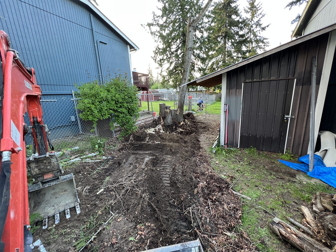 Excavator clearing brush and wooded ground