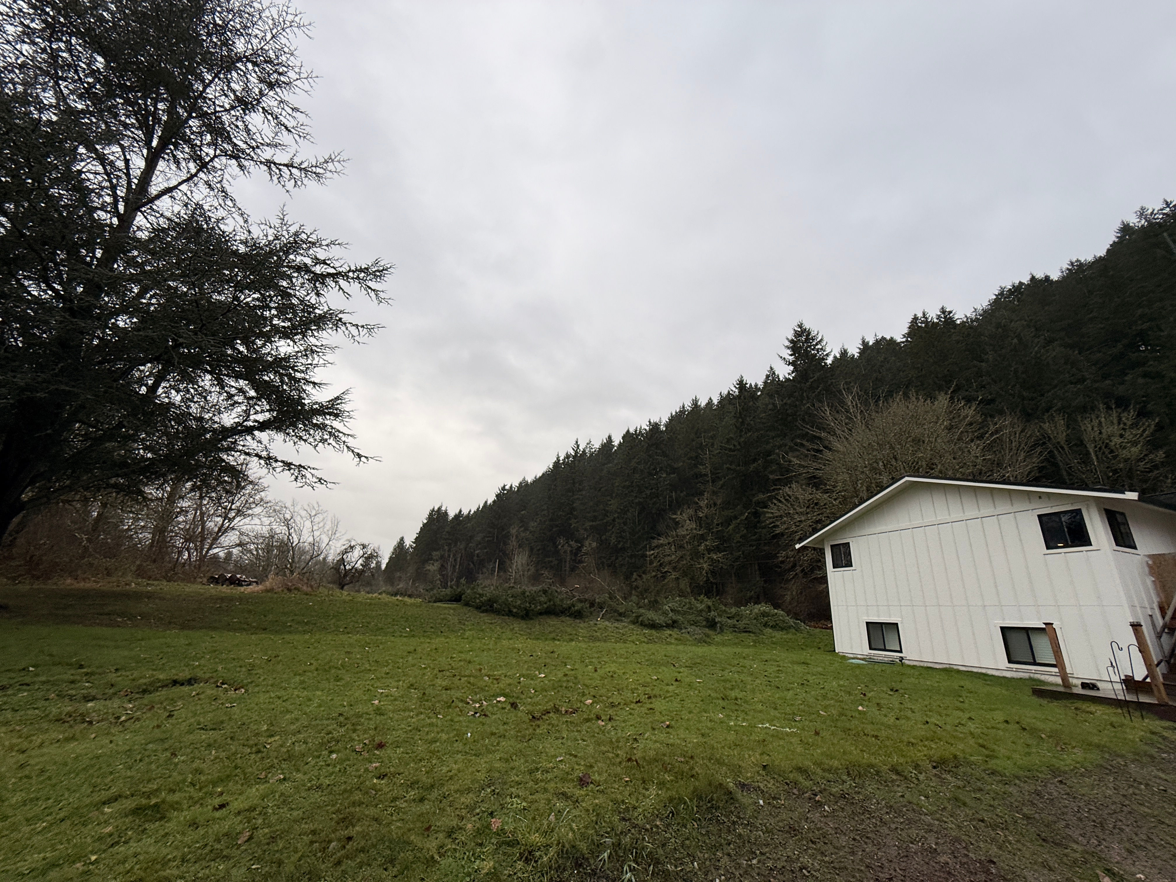 Cleared wooded work area