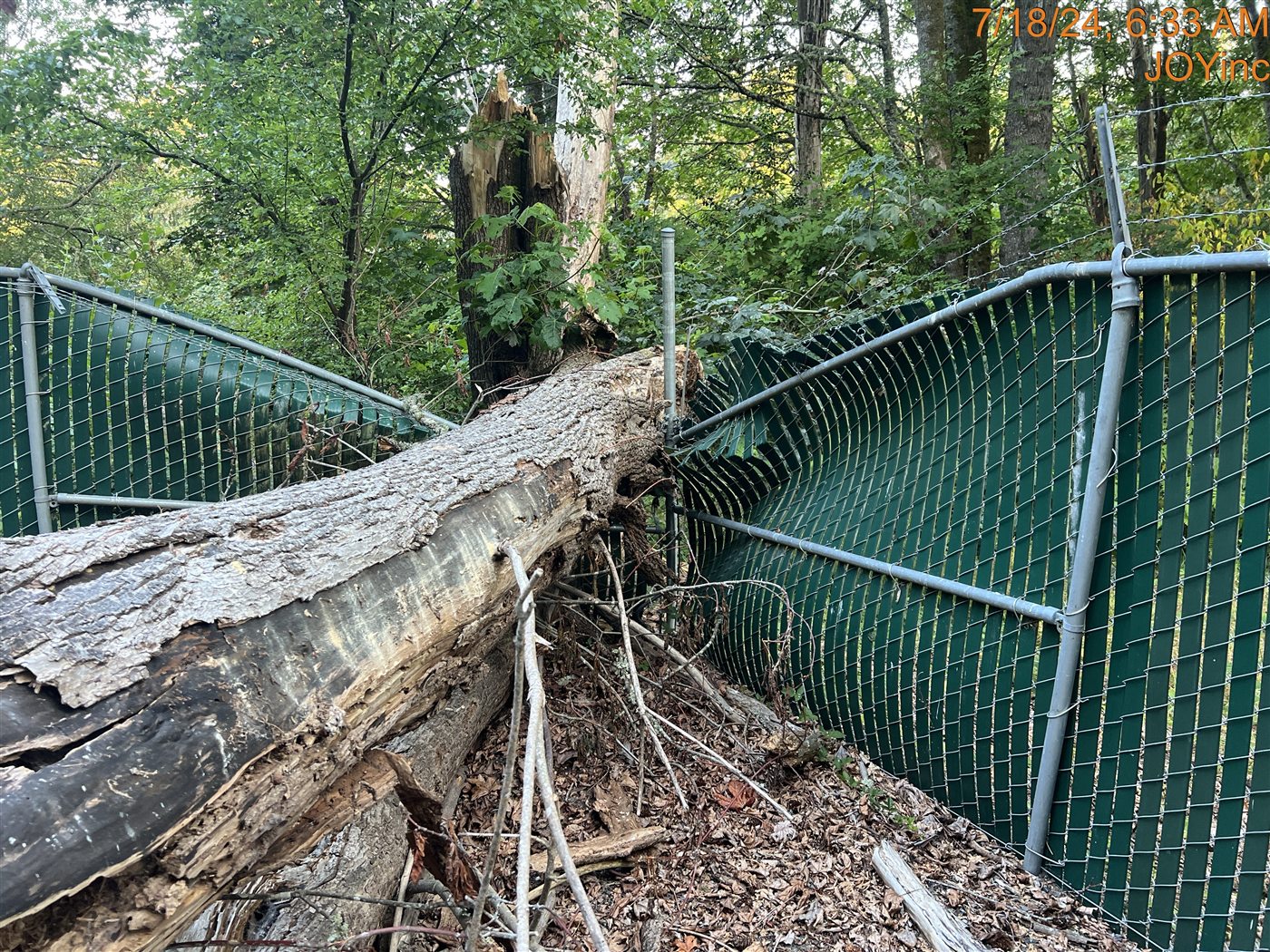 Downed tree removed from a property line