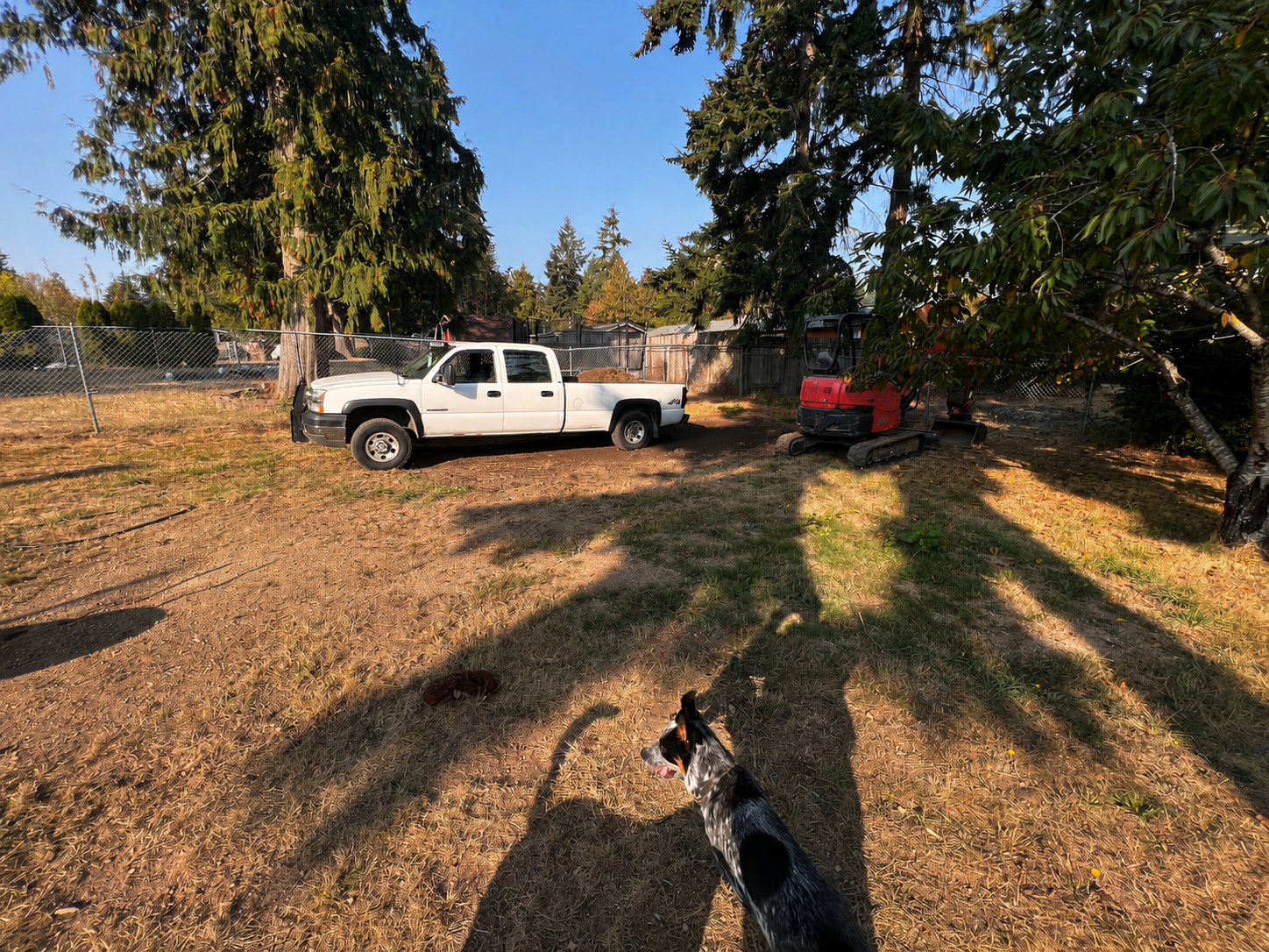 Tree service work near a home
